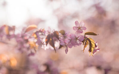 6 lente tips voor je huid